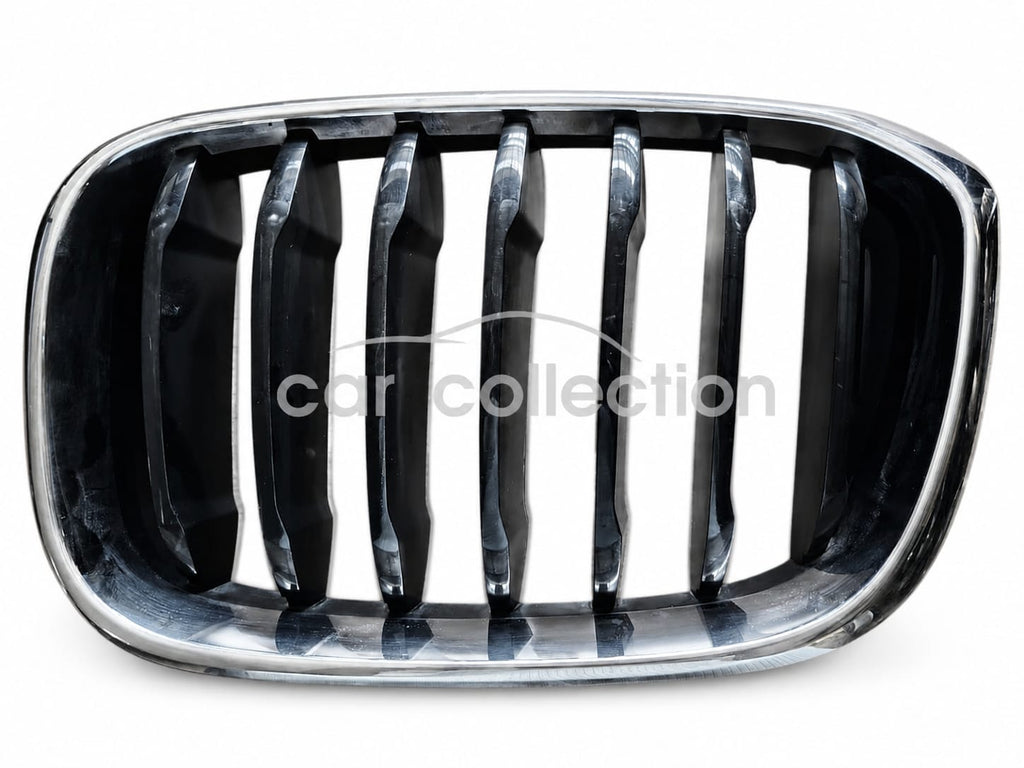 PRECIO, PARRILLA LH, BMW, X3,4 GOI, 2018-2022 #7464921