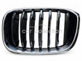 PRECIO, PARRILLA LH, BMW, X3,4 GOI, 2018-2022 #7464921