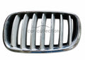 PARRILLA DELANTERA LH, BMW X5 E70 – X6 E71/E72, 2003-2013#51317157687