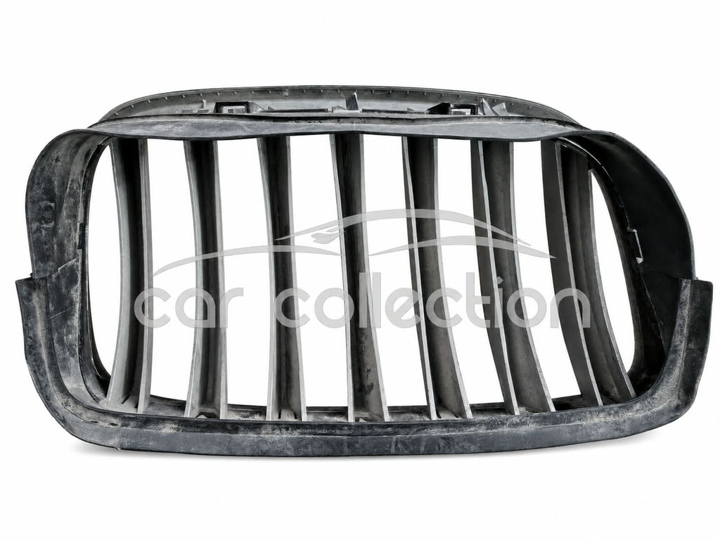 PARRILLA DELANTERA LH, BMW X5 E70 – X6 E71/E72, 2003-2013#51317157687