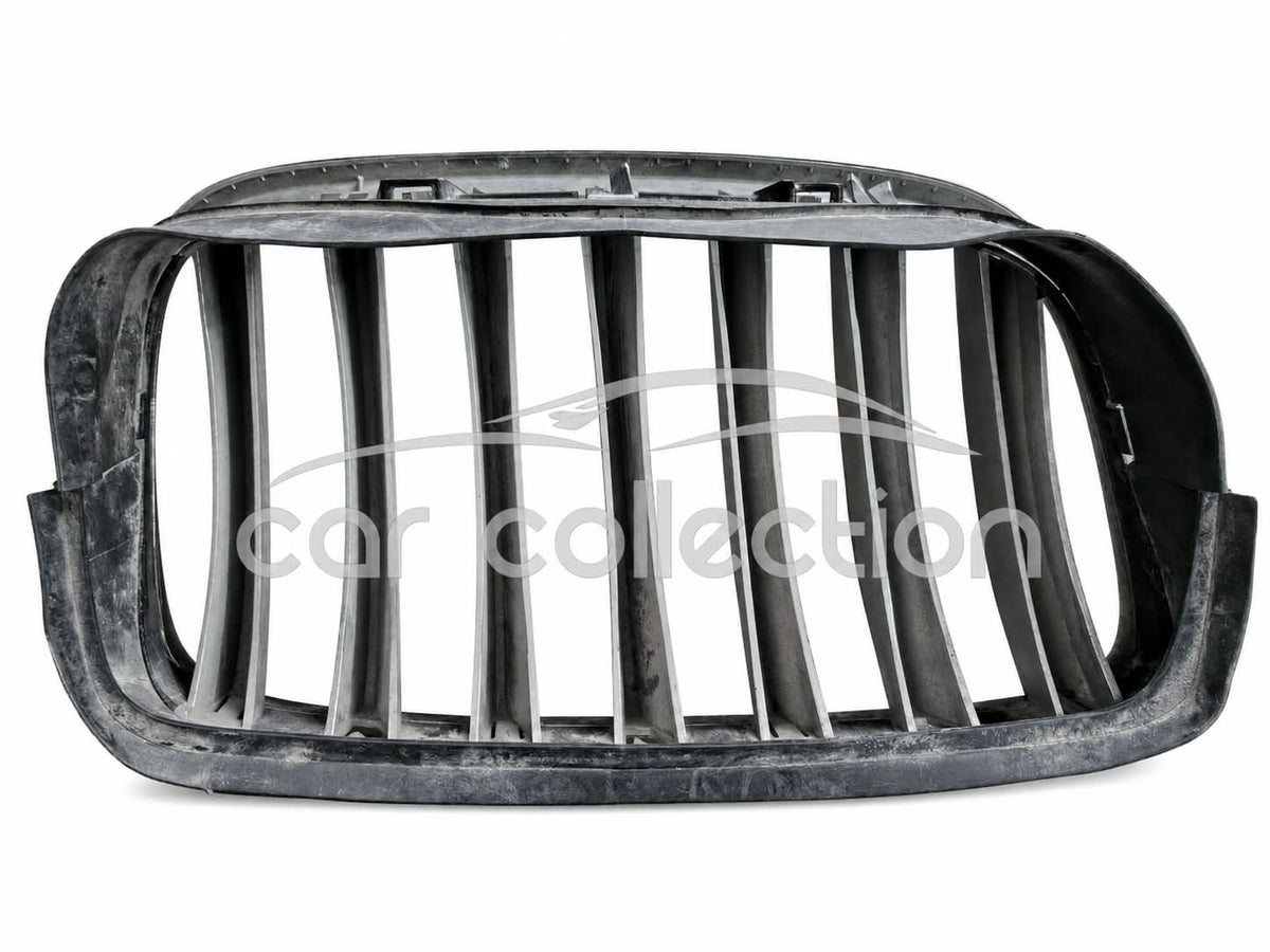 PARRILLA DELANTERA LH, BMW X5 E70 – X6 E71/E72, 2003-2013#51317157687